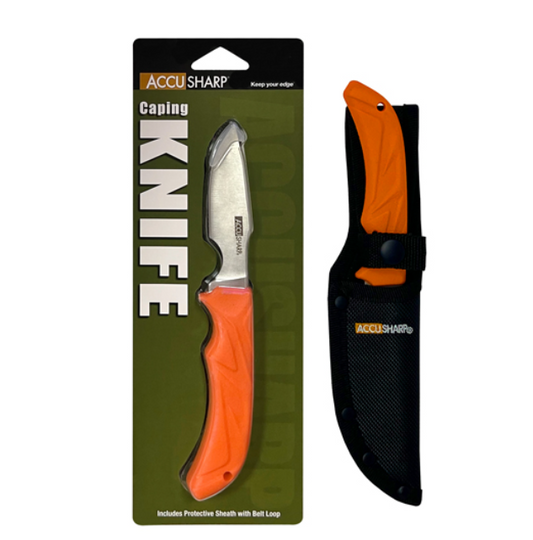 AccuSharp Caping Knife – 3.5" Stainless Steel with Sheath