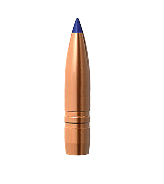 Bullet with blue tip on a white background