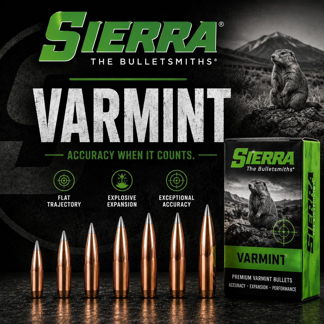 Sierra Varmint