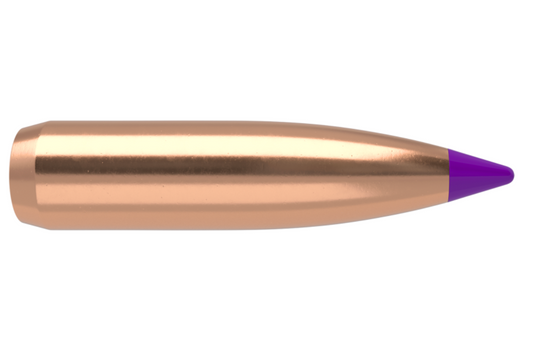 Nosler Ballistic Tip® Hunting 6mm 90gr Bullets (50 Pack)